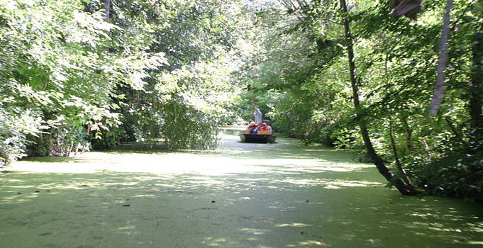 La Venise verte