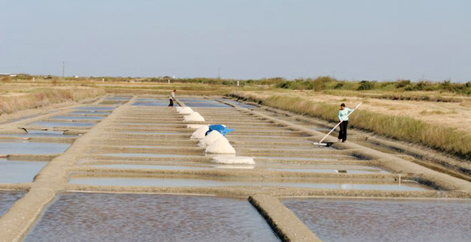 sel de noirmoutier